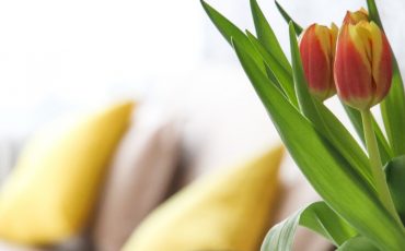 Selling your property in season